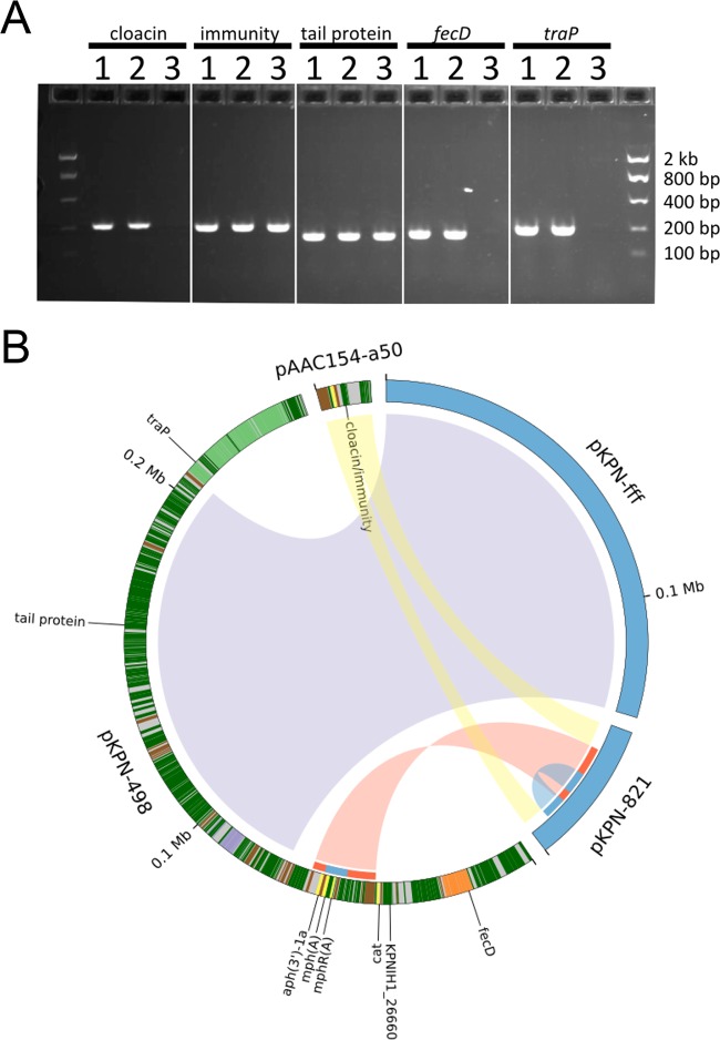 FIG 2 