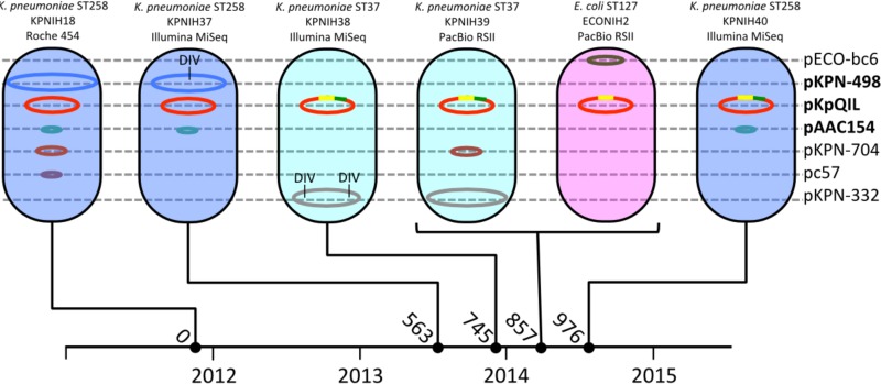 FIG 3 