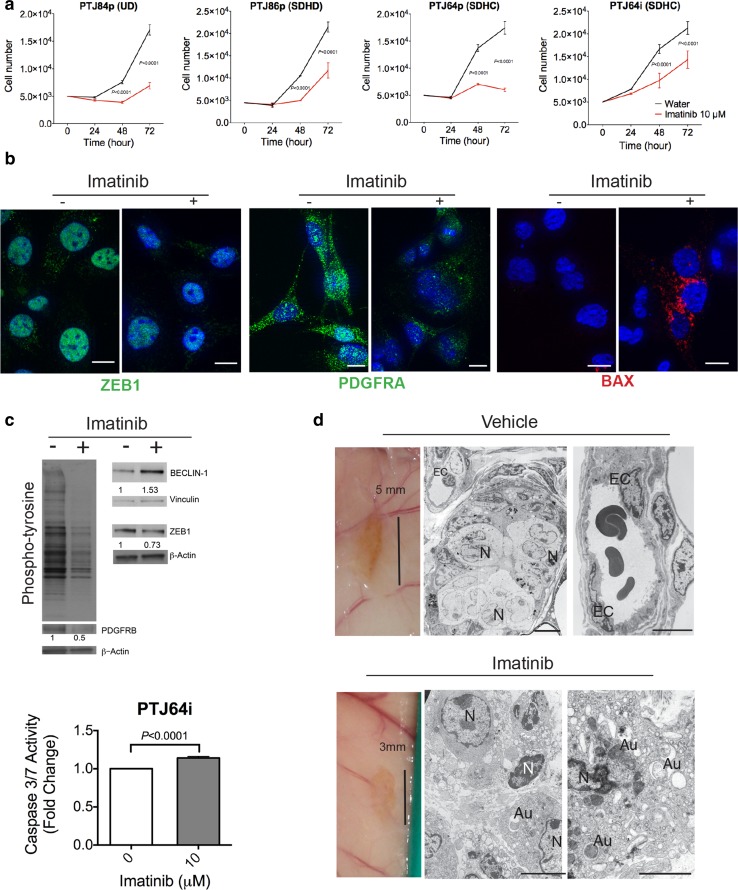 Fig. 7