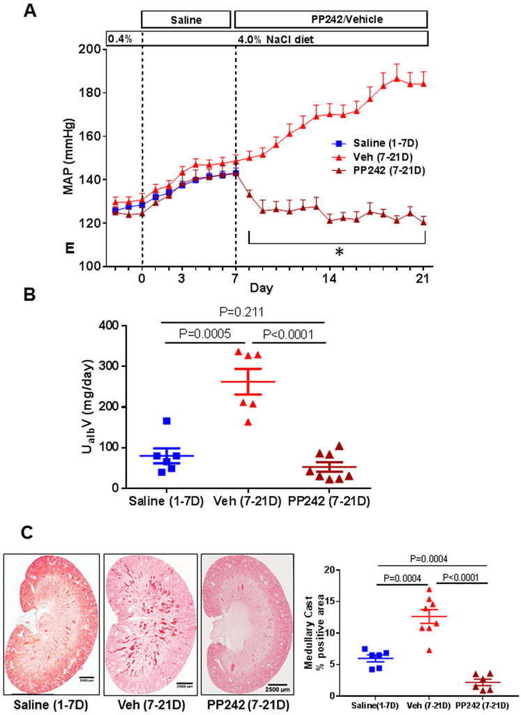 Figure 3: