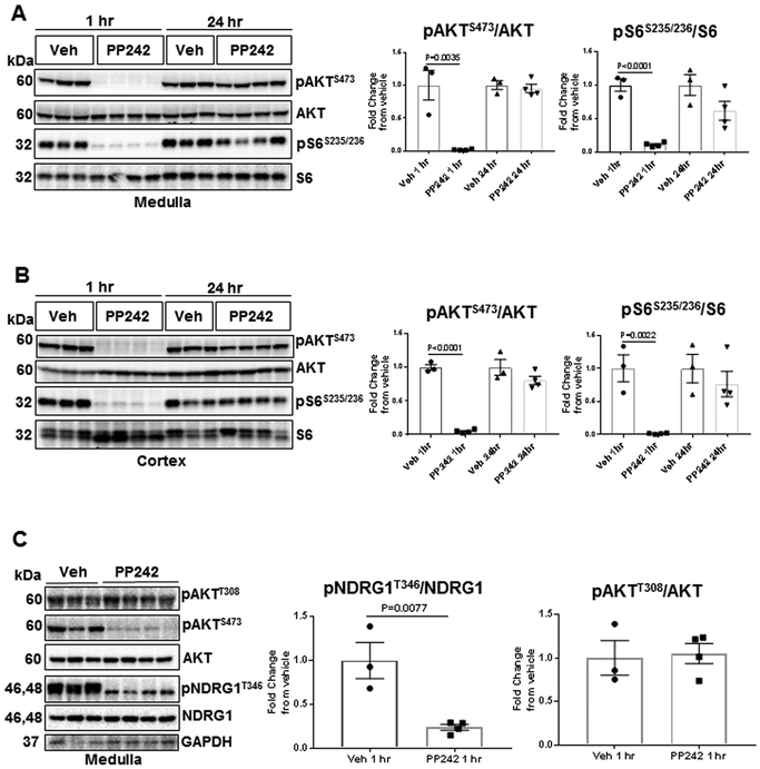 Figure 6: