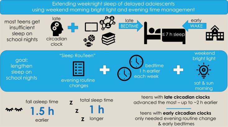 Graphical Abstract