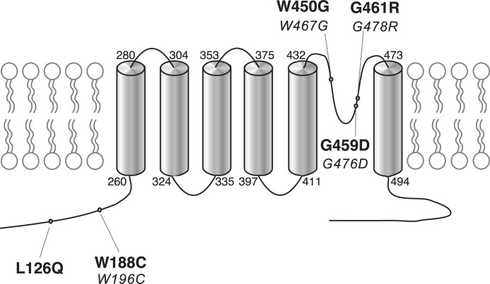 FIGURE 3.