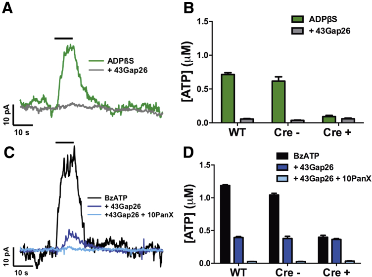 Figure 3