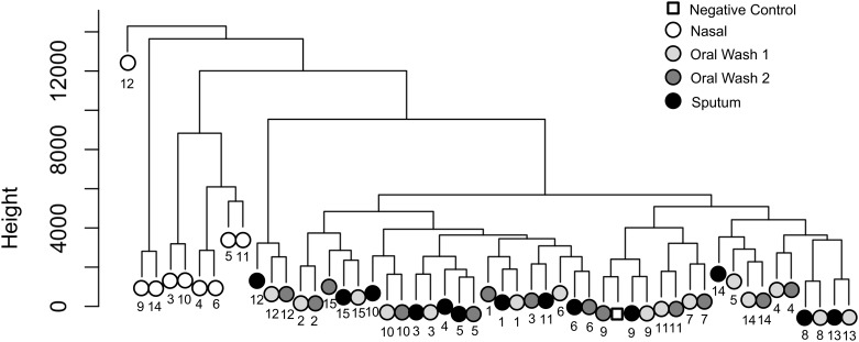 Fig 5