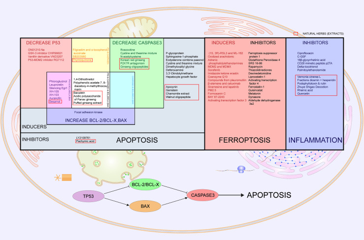 Figure 4