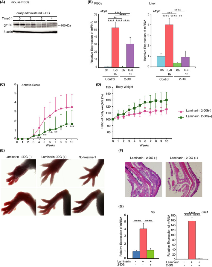 FIGURE 3