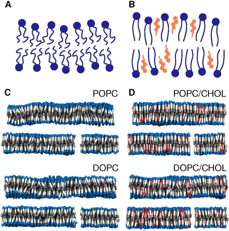 Figure 1: