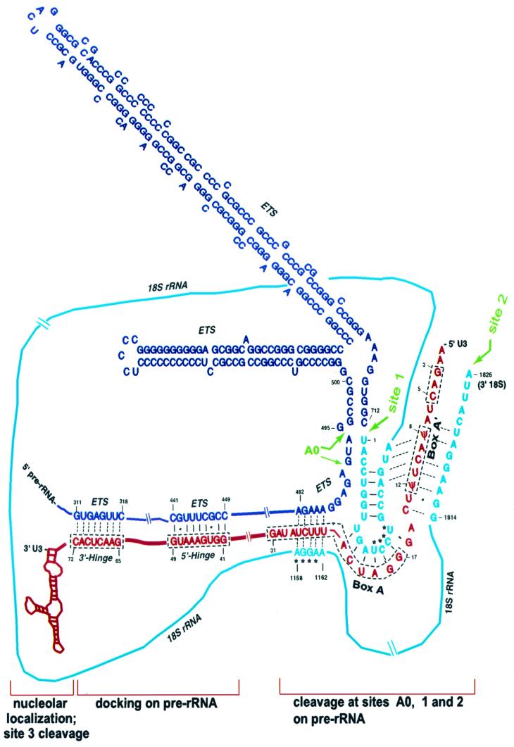 FIG. 8