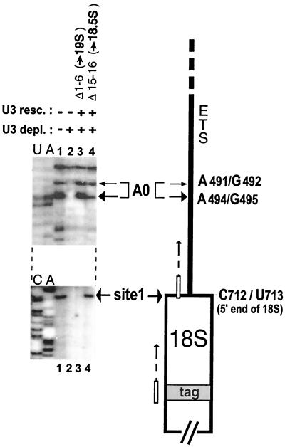 FIG. 7