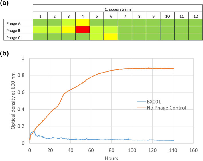 FIGURE 1