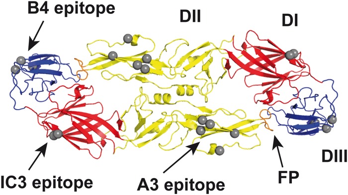 FIG 1