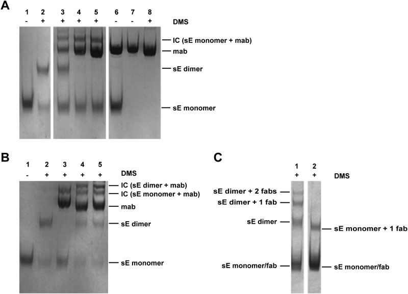 FIG 6