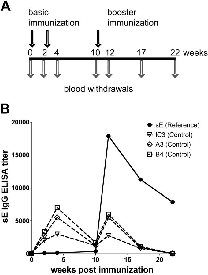 FIG 2