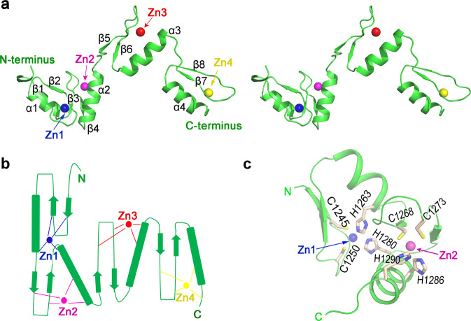 Fig. 2