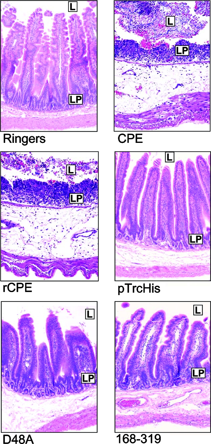 FIG. 3.