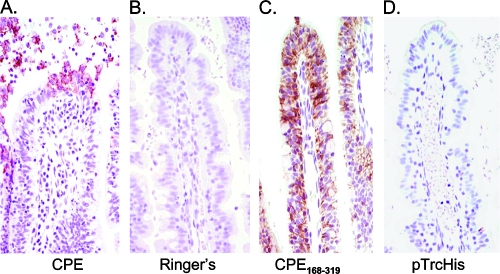 FIG. 5.