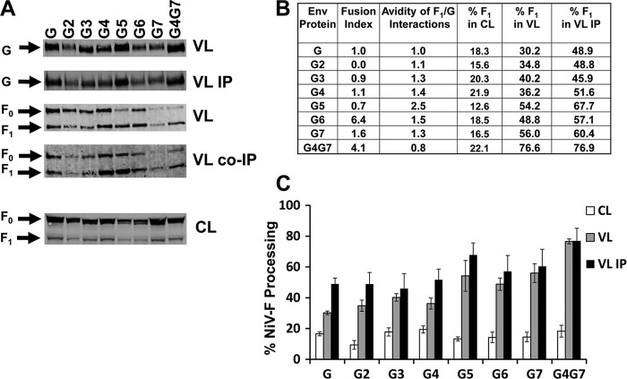 Fig 6