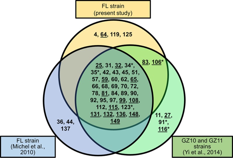 FIG 1