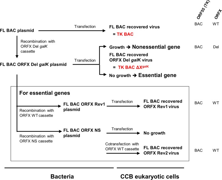 FIG 2