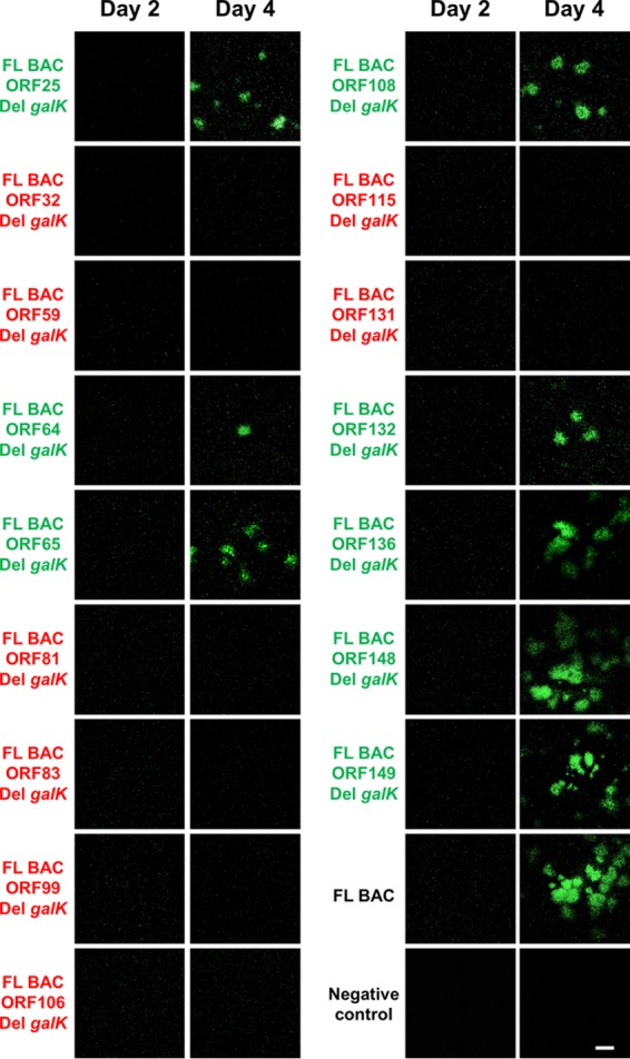 FIG 3