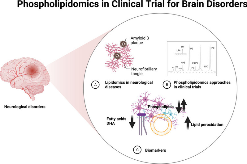 graphic file with name 12035_2023_3793_Figa_HTML.jpg