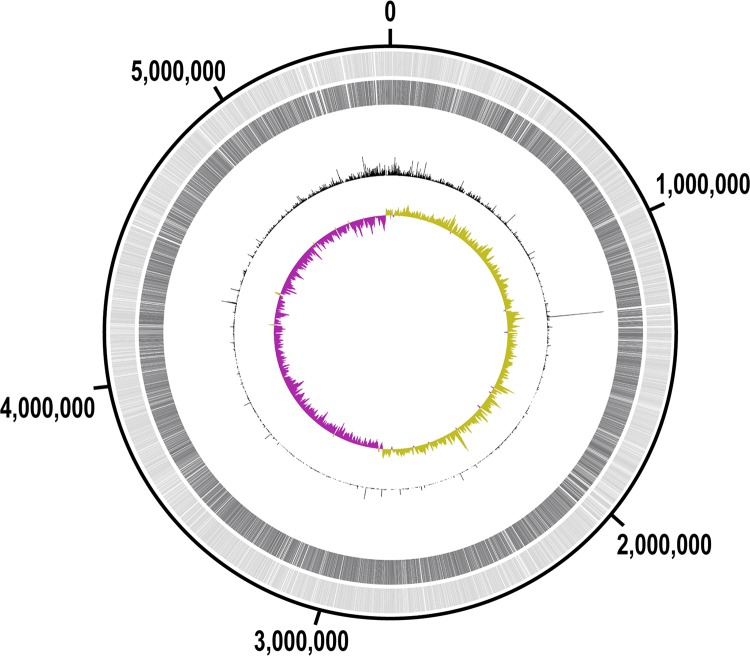 FIG 2