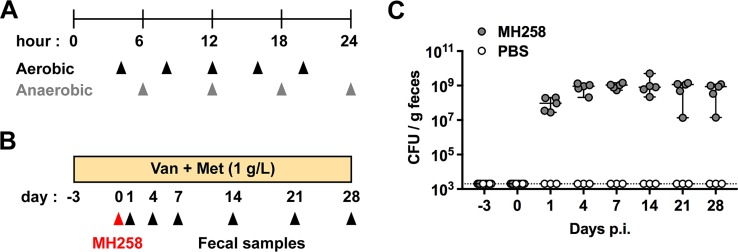 FIG 3