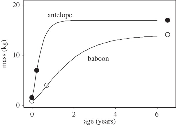 Figure 1.