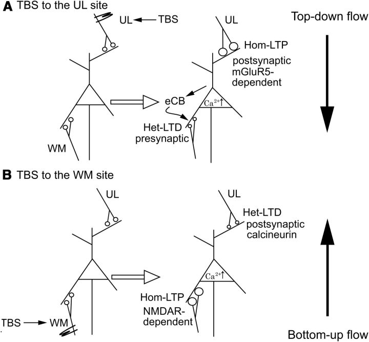 Figure 9.