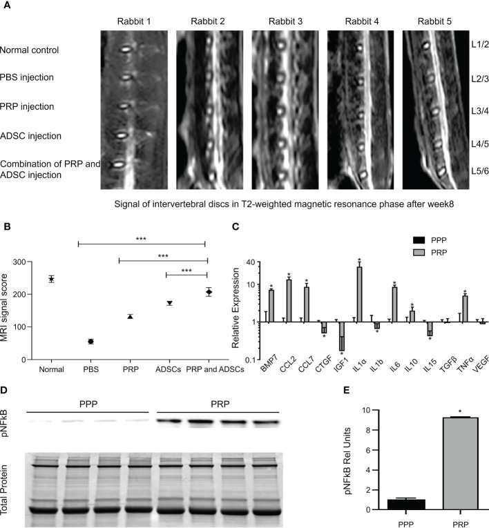 Figure 6