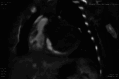 Fig 8 –