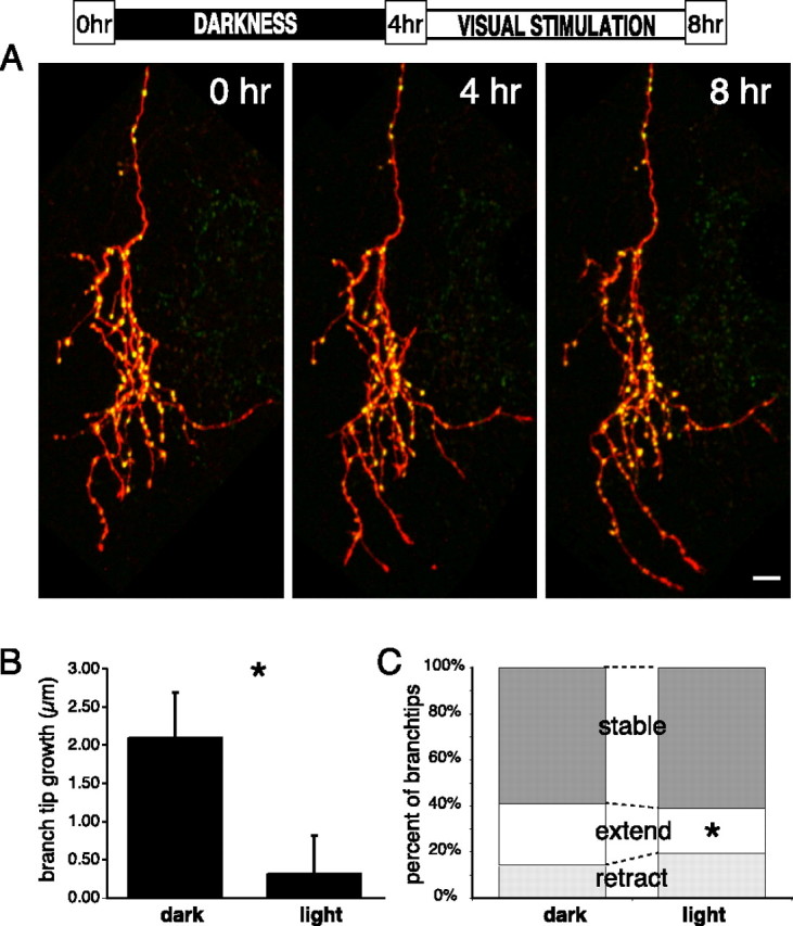 Figure 6.