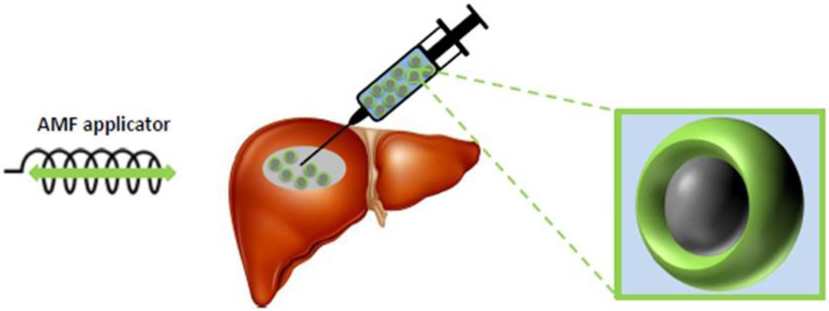 Figure 1: