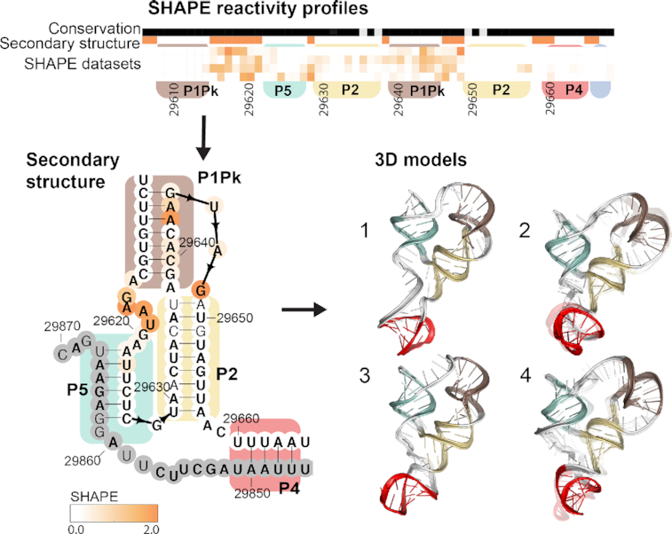 Graphical Abstract