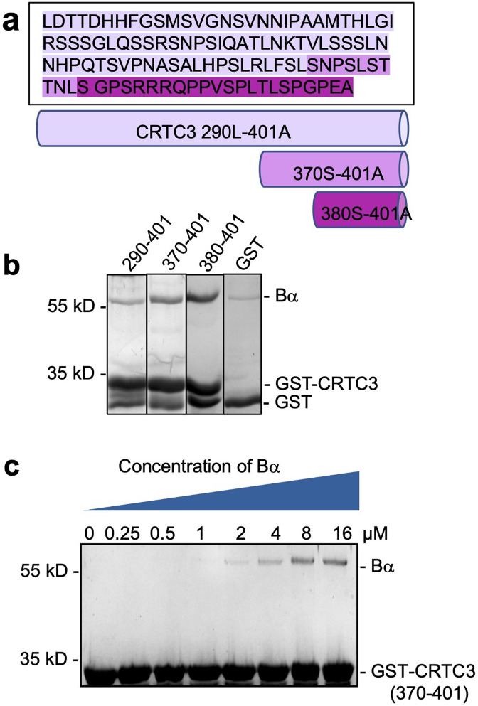 Figure 2—figure supplement 2.