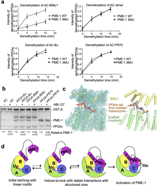 Figure 5.