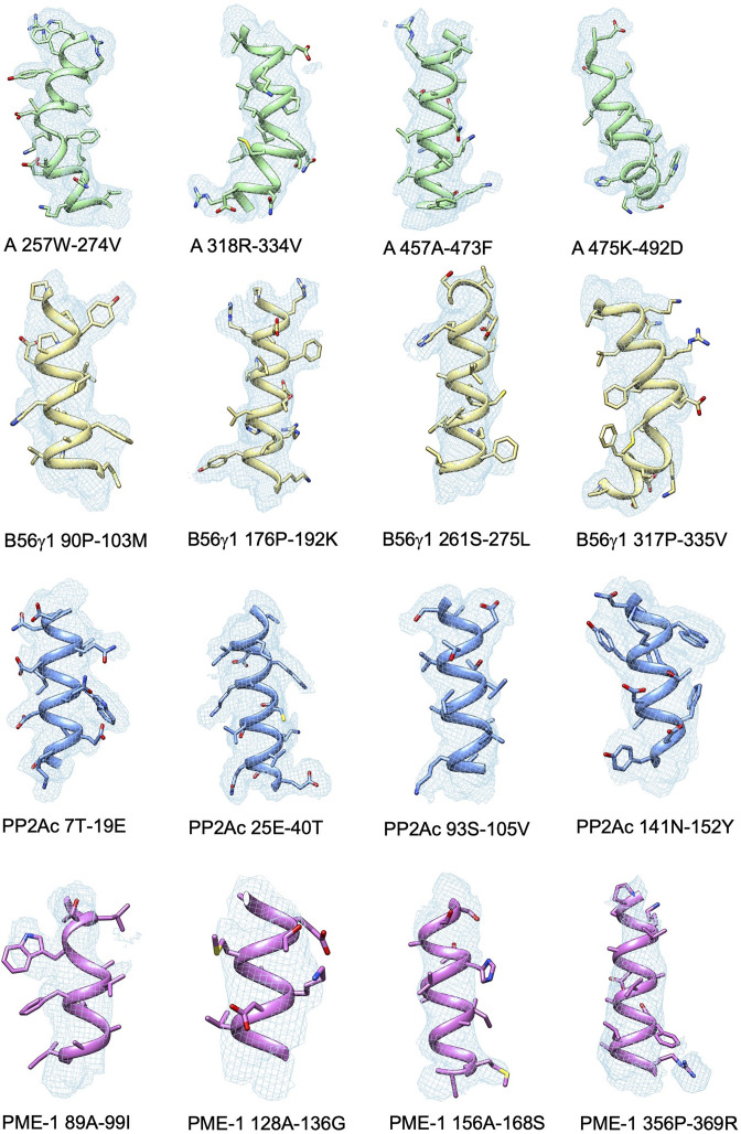 Figure 3—figure supplement 2.