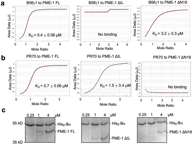 Figure 2—figure supplement 1.