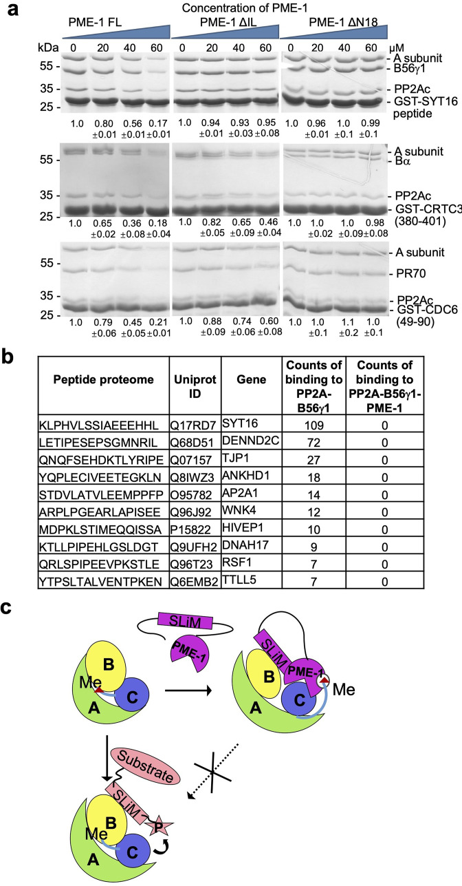 Figure 2—figure supplement 3.