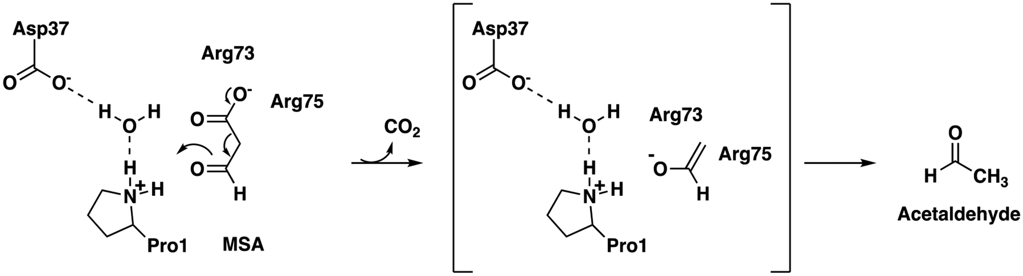 Scheme 1.