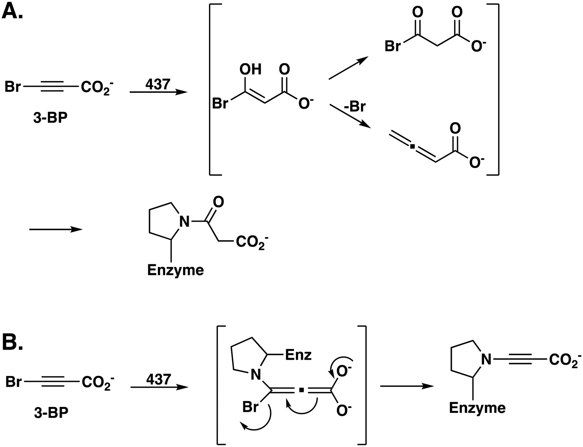 Scheme 4.