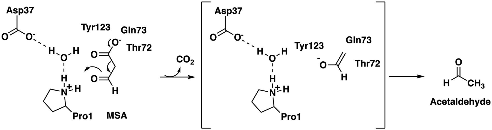 Scheme 2.