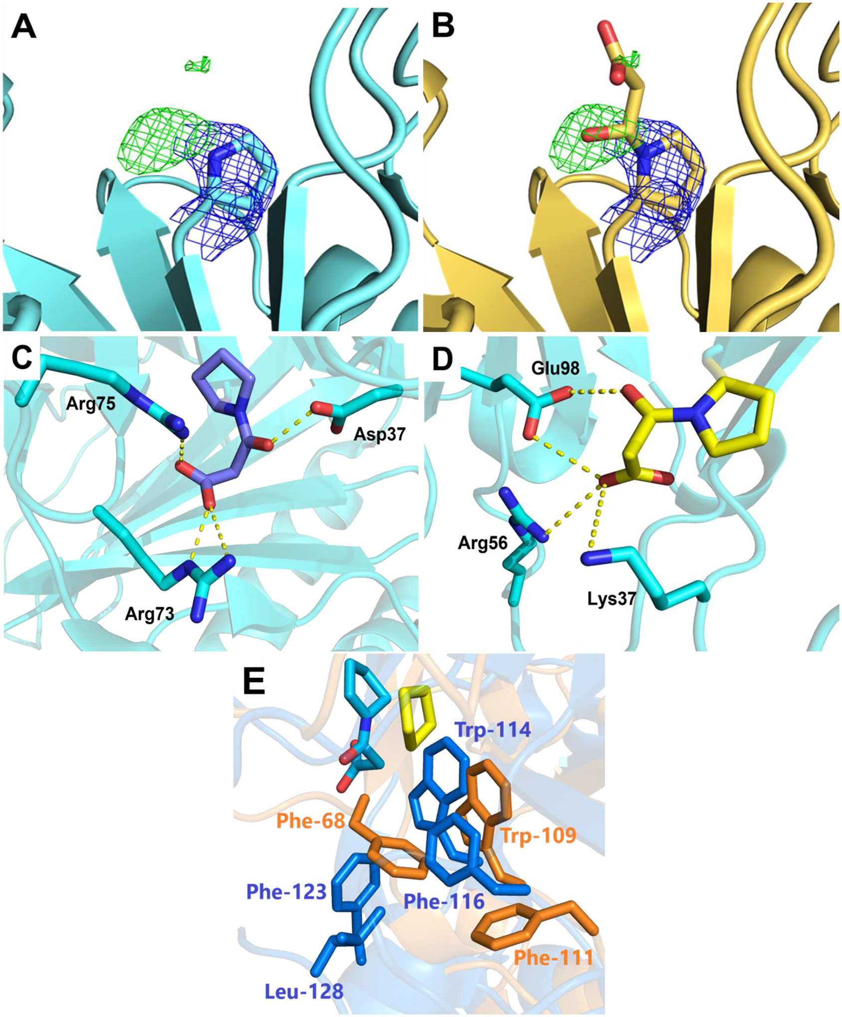 Figure 2.