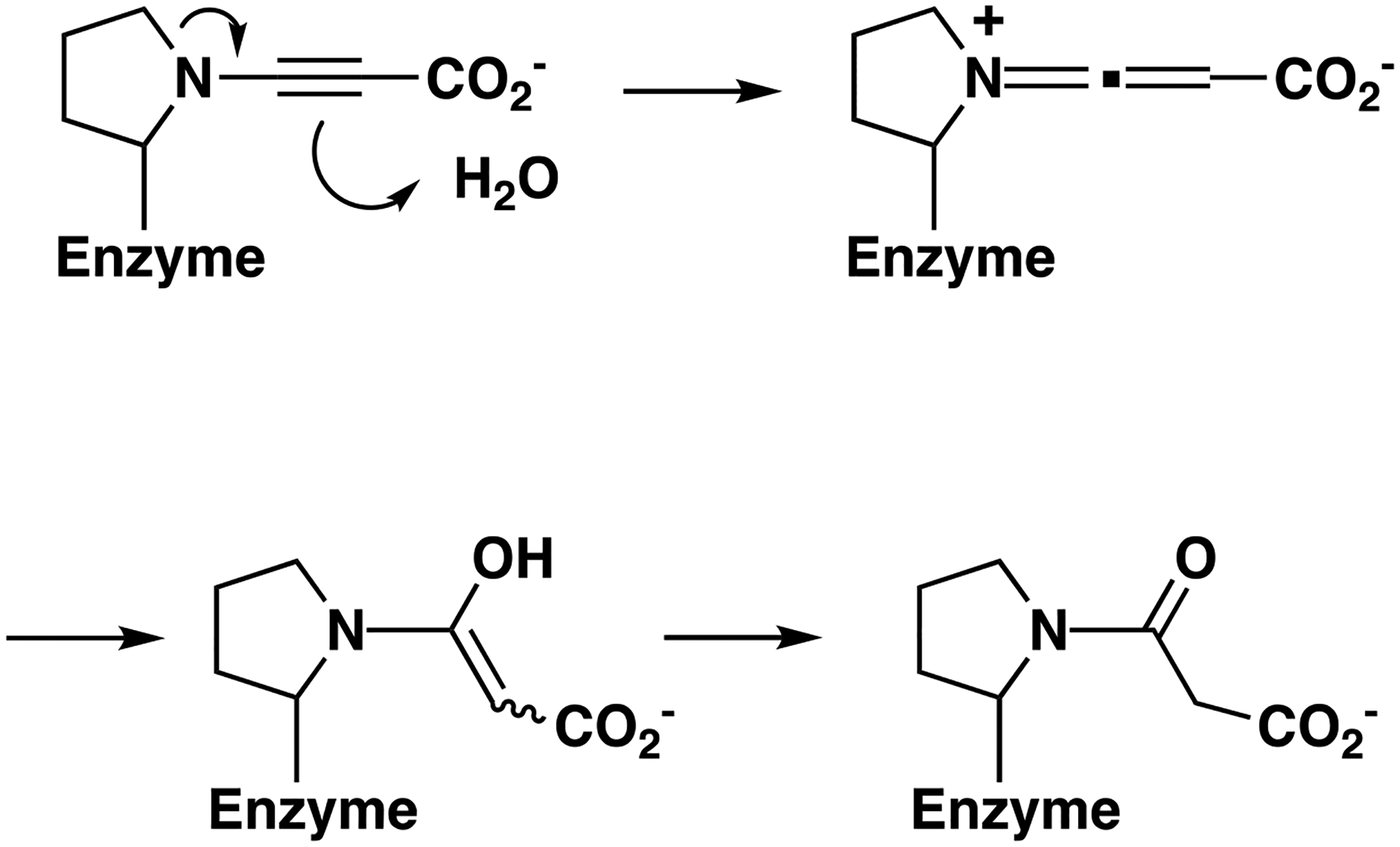 Scheme 5.