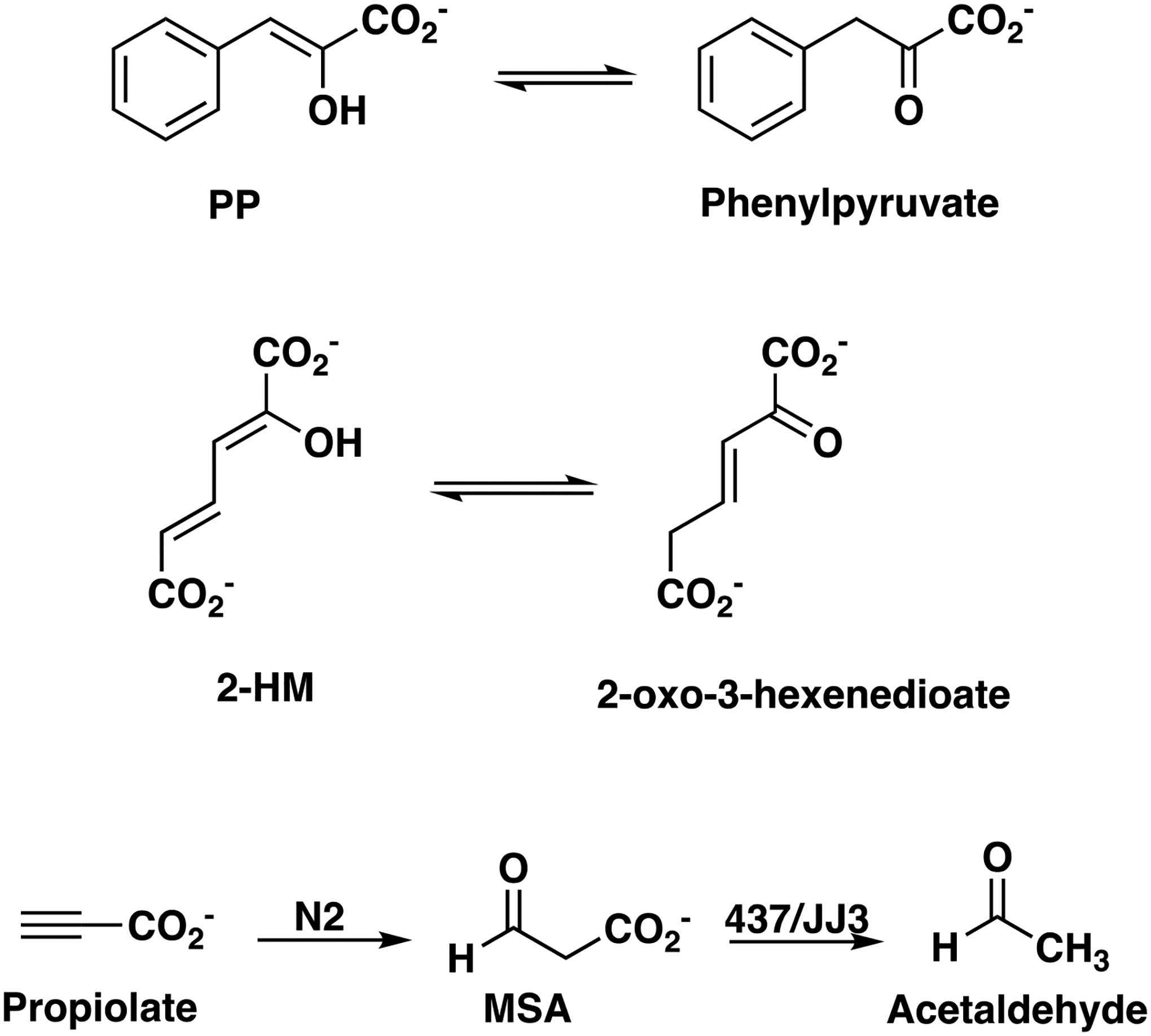 Scheme 3.