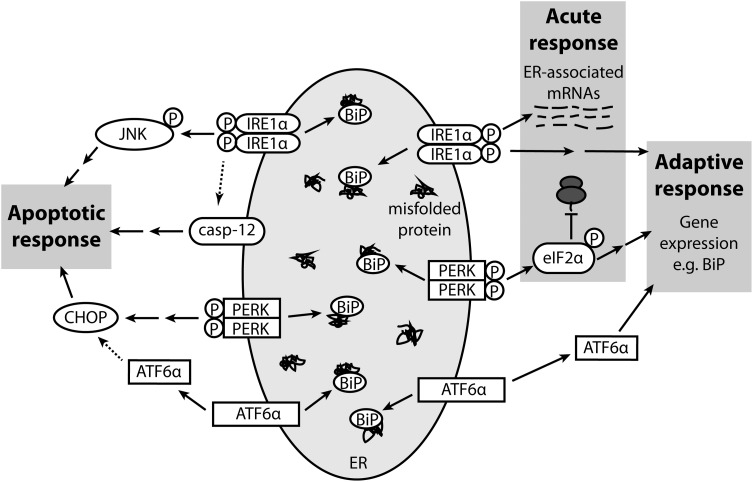 Figure 1.