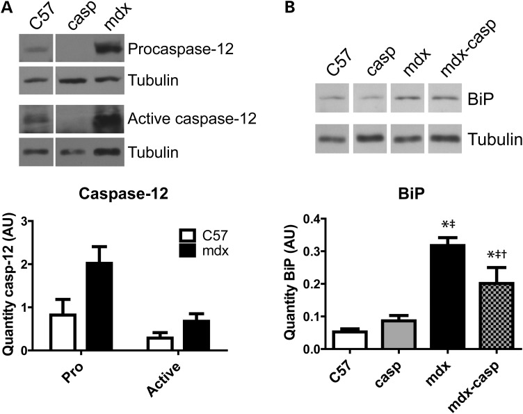 Figure 4.