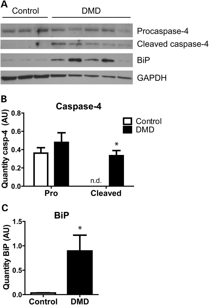 Figure 2.