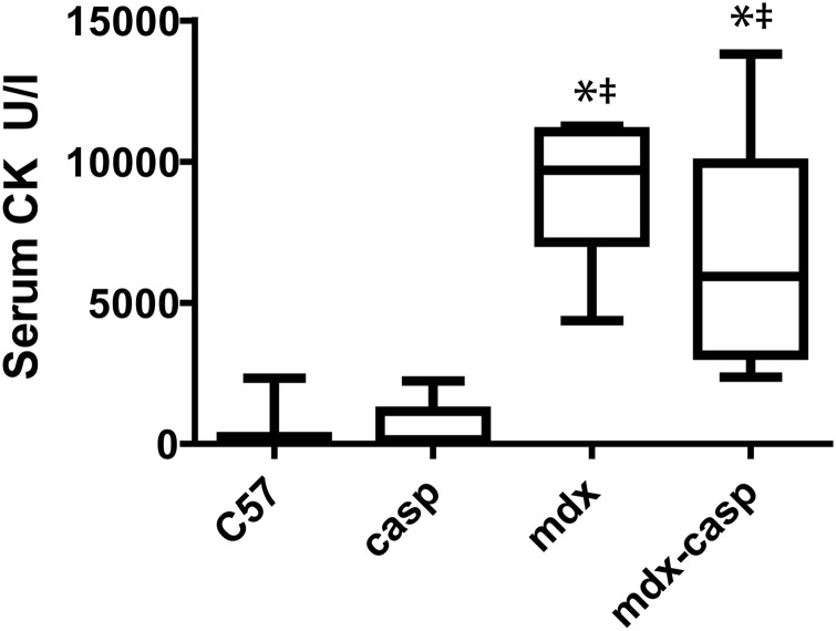 Figure 6.